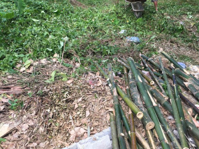 Cho thuê đất làm kho, xưởng may, xưởng cơ khí, mộc