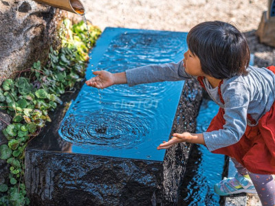 cho thuê phòng giá 1,5tr