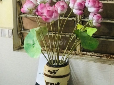 CHO THUÊ NHÀ KIỆT Ô TÔ THẠCH HẢN FULL NỘI