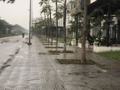 CHO THUÊ BIỆT THỰ ĐƠN LẬP - ROYAL PARK -