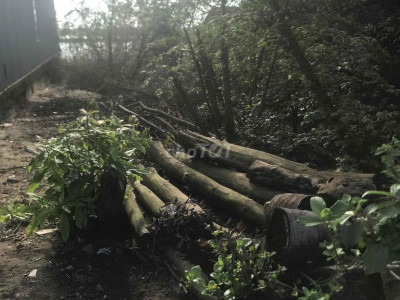 cần cho thuê đất mặt tiền đường