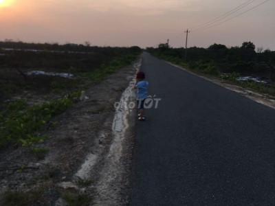 Đất Cho Thuê Khu Công Nghiệp Phong Điền