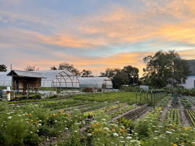 CHO THUÊ ĐẤT MẶT TIỀN KHẢI ĐỊNH - GẦN ANHILL