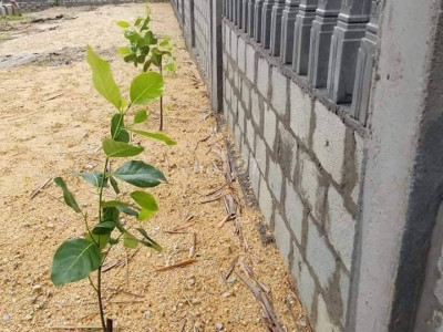 Cho thuê đất trống 440m2-10tr/th