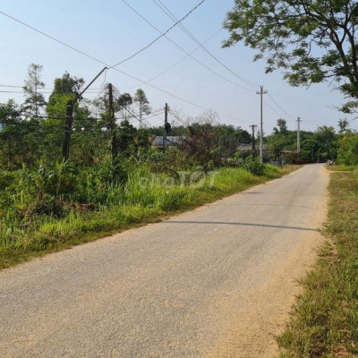 BÁN ĐẤT HƯƠNG BÌNH HƯƠNG TRÀ GIÁ 770 TRIỆU