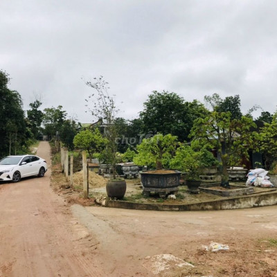 CHỈ 9xx TRIỆU CÓ NGAY LÔ ĐẤT TT THUỶ PHƯƠNG