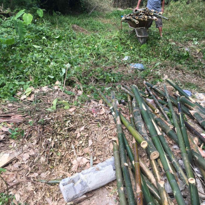 Cho thuê đất làm kho, xưởng may, xưởng cơ khí, mộc