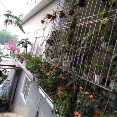 Cho thue Nhà mới nguyên căn 3 pn, p. Trường An