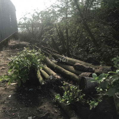 cần cho thuê đất mặt tiền đường