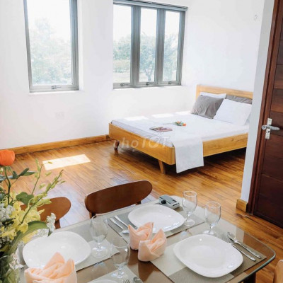 Cho thuê căn hộ 1 pn đầy đủ tiện nghi cao cấp