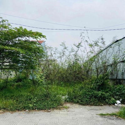 CHO THUÊ ĐẤT MT ĐỒNG KHỞI-BÀU VÁ 2 TTTP HUẾ