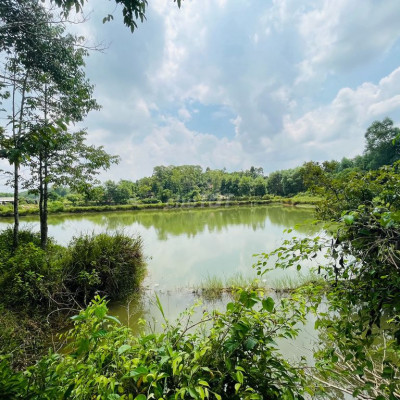 CHO THUÊ 2000m ĐẤT CHÂU CHỮ VIEW SÔNG FARM HOMSTAY