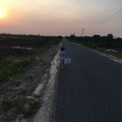 Đất Cho Thuê Khu Công Nghiệp Phong Điền