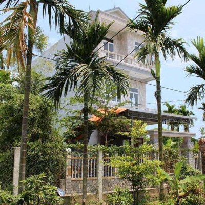 Cho thuê nhà 3 tầng gần chợ Mai, 3 phòng ngủ