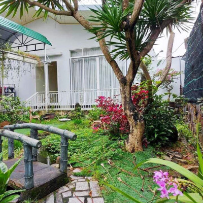 Nhà cấp 4 sân vườn Trần Phú 5tr/th