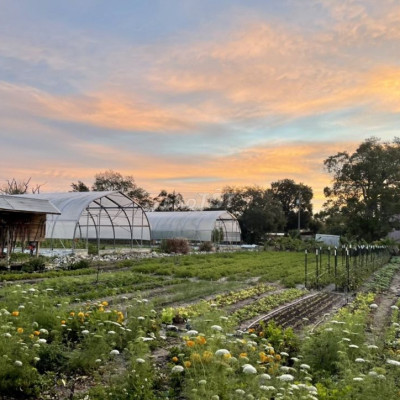 CHO THUÊ ĐẤT MẶT TIỀN KHẢI ĐỊNH - GẦN ANHILL