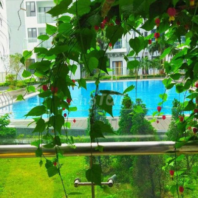 Căn hộ 50m2 view ban công hồ bơi