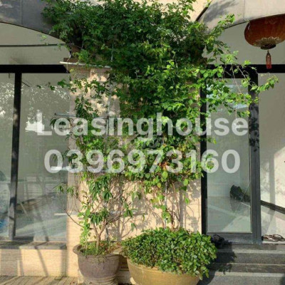 cho thuê mặt bằng shophouse The manor giá siêu rẻ