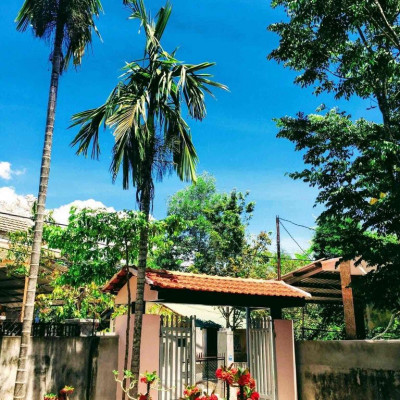 NHÀ KIỆT OTO FULL NỘI THẤT BÙI THỊ XUÂN 4.5TR