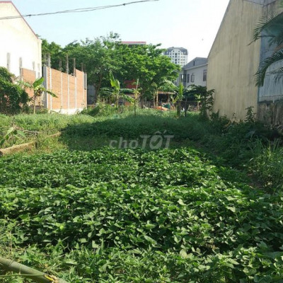 Cho thuê đất mặt tiền đường Hoàng Lanh