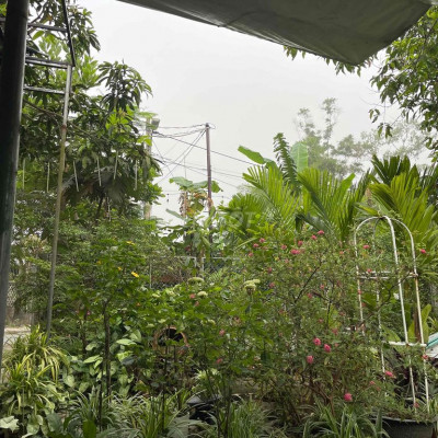 Cho thuê nhà nguyên căn 72 Nguyễn Khoa Chiêm