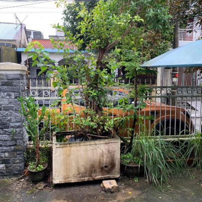 cho thuê nhà để ở địa chỉ 03 Trần Xuân Soạn