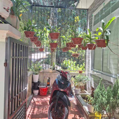 KIỆT OTO LÊ NGÔ CÁT THÔNG MINH MẠNG