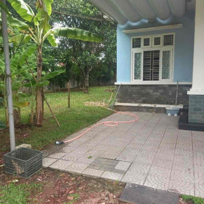 cho thuê nhà sân vườn thích tịnh khiết huế 7tr