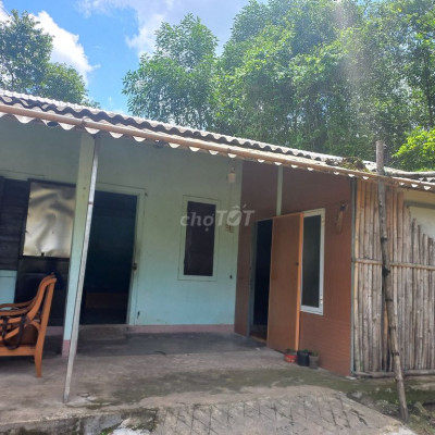 Cho thuê nhà C4 nguyên căn và sân vườn kiệt Minh Mạng giá 2,5TR/TH