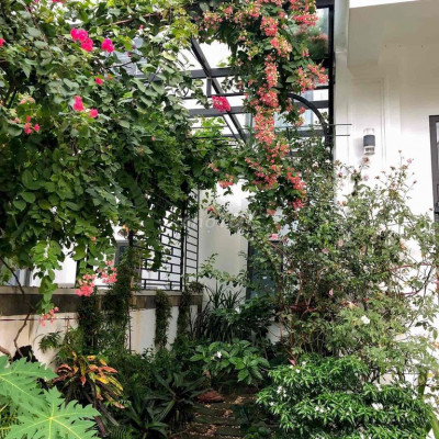 CHO THUÊ NHÀ ROYAL PARK  CÓ NỘI THẤT