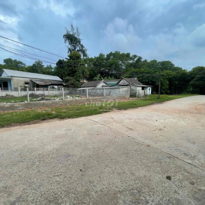 cho thuê đất mặt tiền đường Thanh Hải