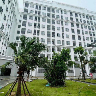 CHO THUÊ CĂN CHUNG CƯ ARANYA CT3 NỘI THẤT CƠ BẢN!