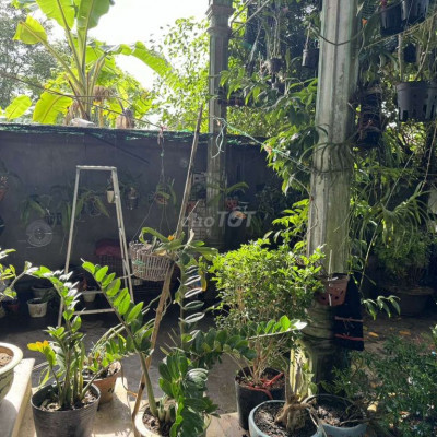 CHO THUÊ NHÀ NGUYÊN CĂN KIỆT 69 LÊ NGÔ CÁT, GIÁ THUÊ 2 TRIỆU/THÁNG