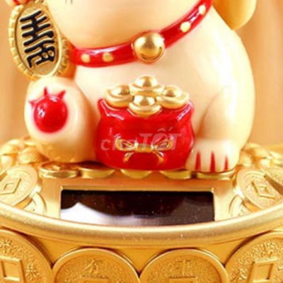 Cần thuê nhà ở khu vực 1 phường thủy xuân huế