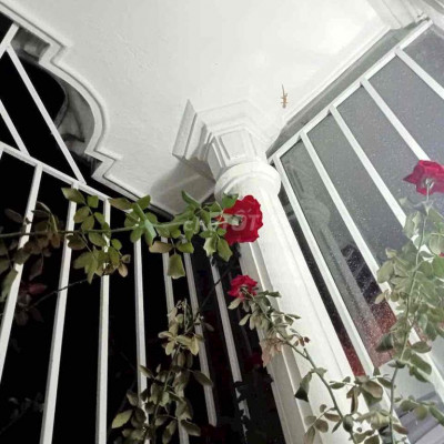 NHÀ KIỆT ĐẶNG HUY TRỨ TRƯỜNG AN TTTP HUẾ