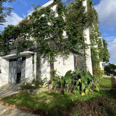 Cho thuê biệt thự mặt tiền Trương Gia Mô