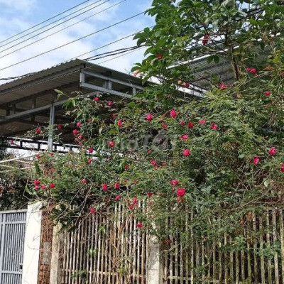 Cho thuê nhà biệt lập thích hợp làm văn phòng,hay ở cho 1 cặp đôi