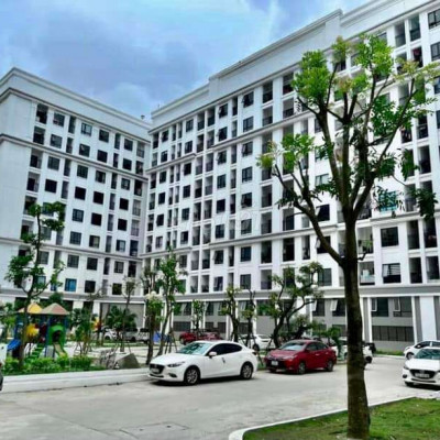 Cho thuê chung cư ct3 aranya