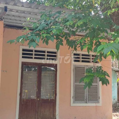 Cho thuê nhà giá rẻ rộng rãi thoáng mát