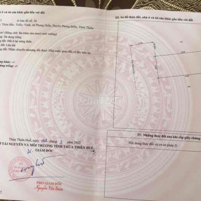 Cho thuê đất đẹp tại thị trấn Phong Hiền, Phong Điền