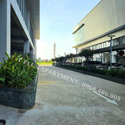 T Plus Apartment Huế