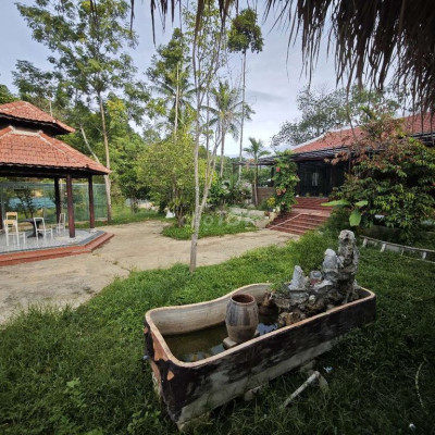 Cho thuê mặt bằng đường Phùng Lưu