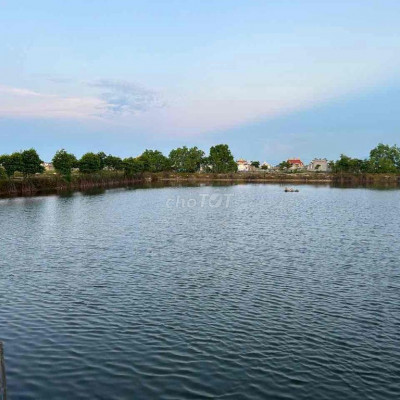 CHO THUÊ AO NUÔI TÔM CÁ