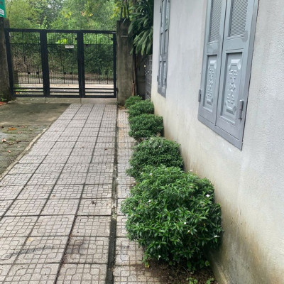 Phòng Trọ gần Đại Học Luật Huế, 33 Kiệt 79 đường Phùng Lưu