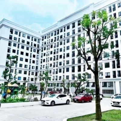 CHO THUÊ ARANYA DÃY CT3 HUẾ
