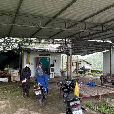 đất trang trại có sẵn chỉ về bỏ vốn là chăn nuôi