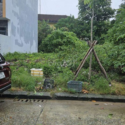 Cho thuê đất gần chợ cá, chợ đầu mối